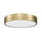 Z-Lite Algar Flush Mount, 1-Light, 16 In.W x 3 In.H, Modern Gold/Frosted 1006F16-MGLD-LED - alternate 5